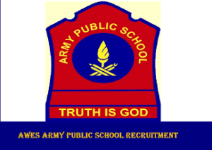 army public school recruitment 2024