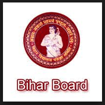 bihar stet result date 2024