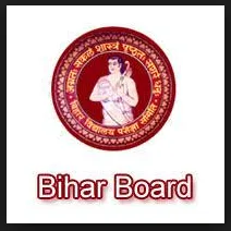 bihar stet result date 2024