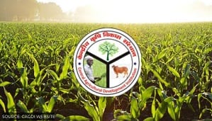 Kendriya Krishi Vikas Sansthan Recruitment 2020